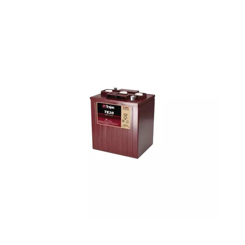 BATTERIE TROJAN TE35 6V 245AH