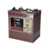 BATTERIE TROJAN T-145 6V 260AH