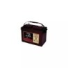 BATTERIE TROJAN 27TMX 12V 105AH