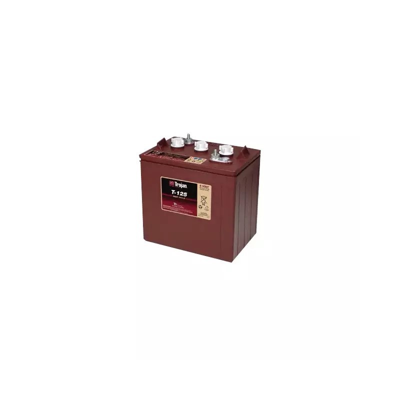 BATTERIE TROJAN T-125 6V 240AH