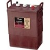 BATTERIE TROJAN L16G-AC 6V 390AH