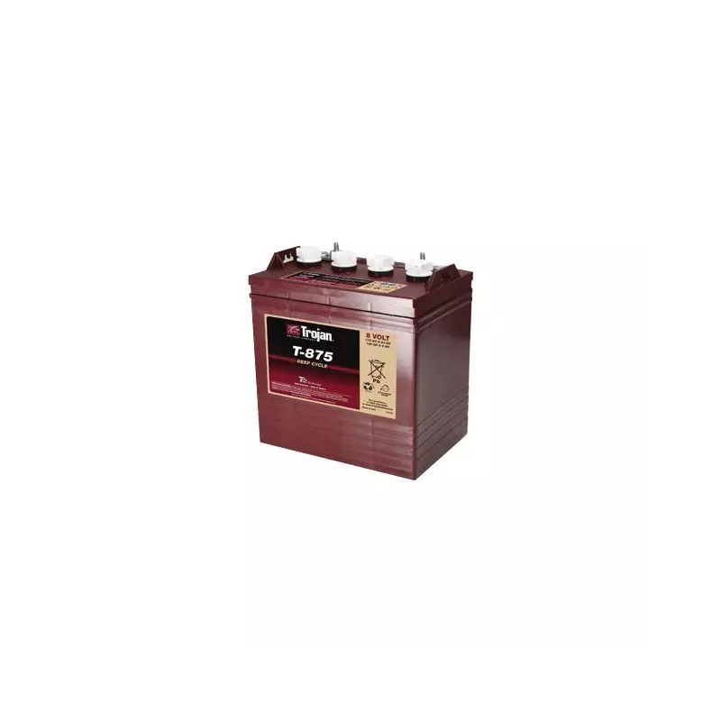 BATTERIE TROJAN T-875 8V 170AH