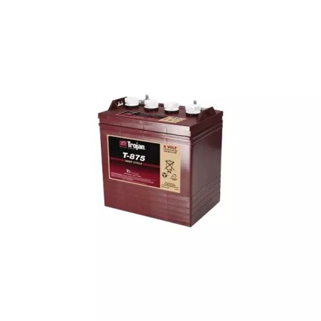 BATTERIE TROJAN T-875 8V 170AH