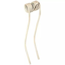 DENT FANEUSE GIROBOIS BLANCHE (OSELLA)