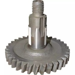 PIGNON DE DISQUE