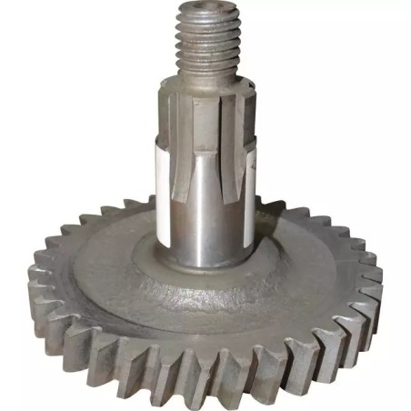 PIGNON DE DISQUE