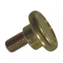 VIS DE COUTEAU EXENTRE NU 10 MM ORIGINE VICON - ref. 6120198 | TP Agri