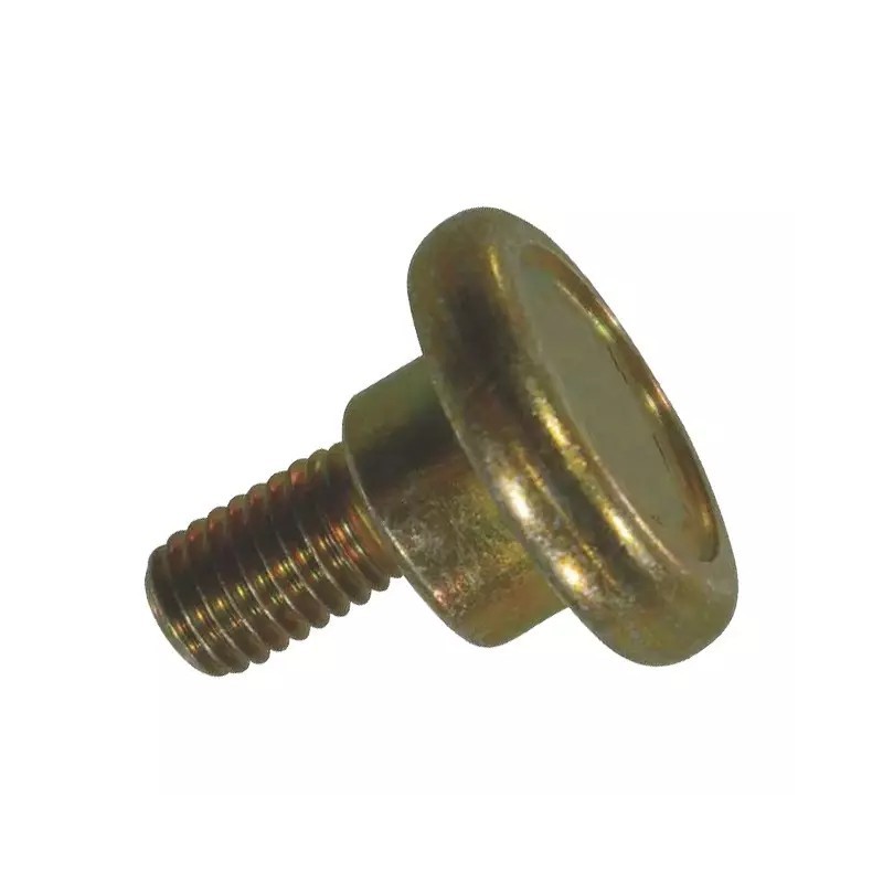 VIS DE COUTEAU EXENTRE NU 10 MM ORIGINE VICON - ref. 6120198 | TP Agri