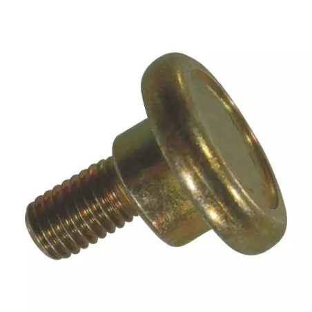 VIS DE COUTEAU EXENTRE NU 10 MM ORIGINE VICON - ref. 6120198 | TP Agri