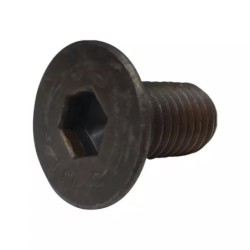 VIS TETE FRAISEE 12X25 MM PORTE-COUTEAU F1017 - ref. 6220138 | TP Agri