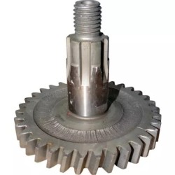 PIGNON DE DISQUE