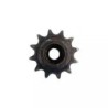 PIGNON DOUBLE 12 DENTS B03400224R - ref. 6128116 | TP Agri