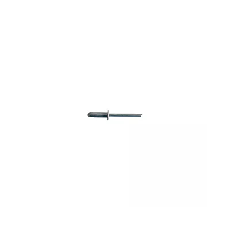 RIVET B01000013R