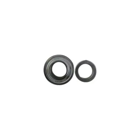 ROULEMENT DE PALIER RAE 25 NPPB MASCHIO