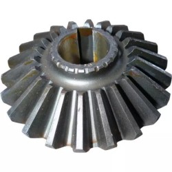 PIGNON CONIQUE SIP153439602