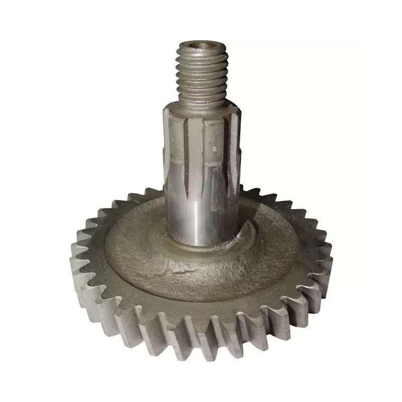 PIGNON DE DISQUE