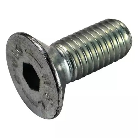 VIS M10X25 SIP150386102 - ref. 61340019 | TP Agri