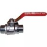 VANNE 1/4 TOUR CHAUFFAGE MALE - MALE 12X17 - ref. 33020290 | TP Agri