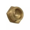 BOUCHON LAITON 6 PANS MALE 3/8" 12X17 - ref. 33020967 | TP Agri