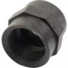 RACCORD FILETE FEMELLE FEMELLE 1"1/4 G - ref. 230626 | TP Agri