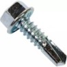 VIS AUTOPERCEUSE TETE HEXAGONALE 4,8X19 (BLIS - ref. 3728579 | TP Agri
