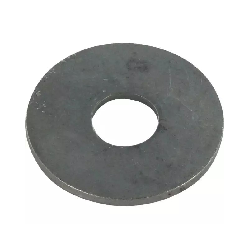 RONDELLE PLATE POUR VIS 48MM BRUT BLISTER 2 - ref. 3722122 | TP Agri