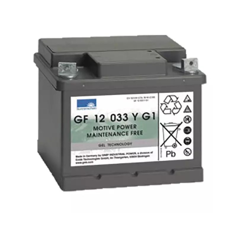 BATTERIE GEL GF12033YG1 12V 38AH - ref. 31306004 | TP Agri