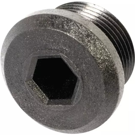 BOUCHON 3/4" GAS -2286 - ref. 231447 | TP Agri