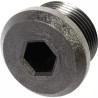 BOUCHON 3/4" GAS -2286 - ref. 231447 | TP Agri