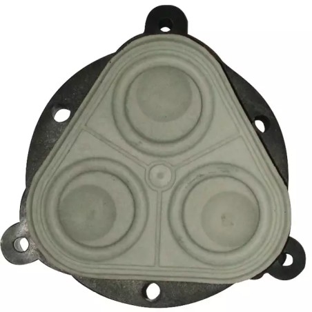 KIT MEMBRANE POMPE EF2200 EVERFLO - ref. 30548376 | TP Agri