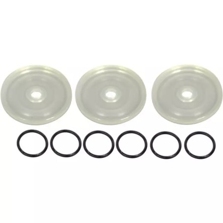 KIT MEMBRANES ZETA 70 (KIT 616) - ref. 243807 | TP Agri