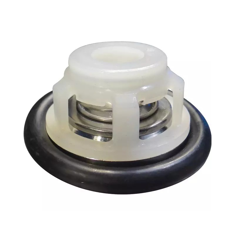 CLAPET COMPLET BP60/105/125/151/171/205/235/ - ref. 30535450 | TP Agri