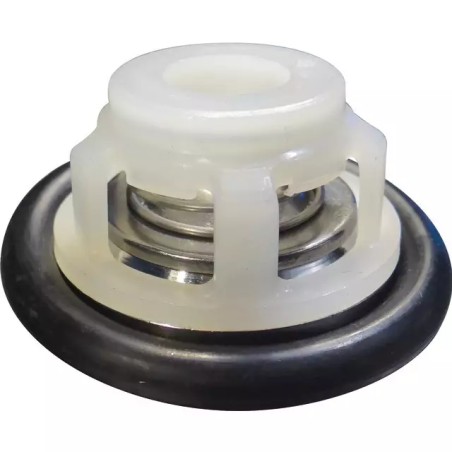 CLAPET COMPLET BP60/105/125/151/171/205/235/ - ref. 30535450 | TP Agri