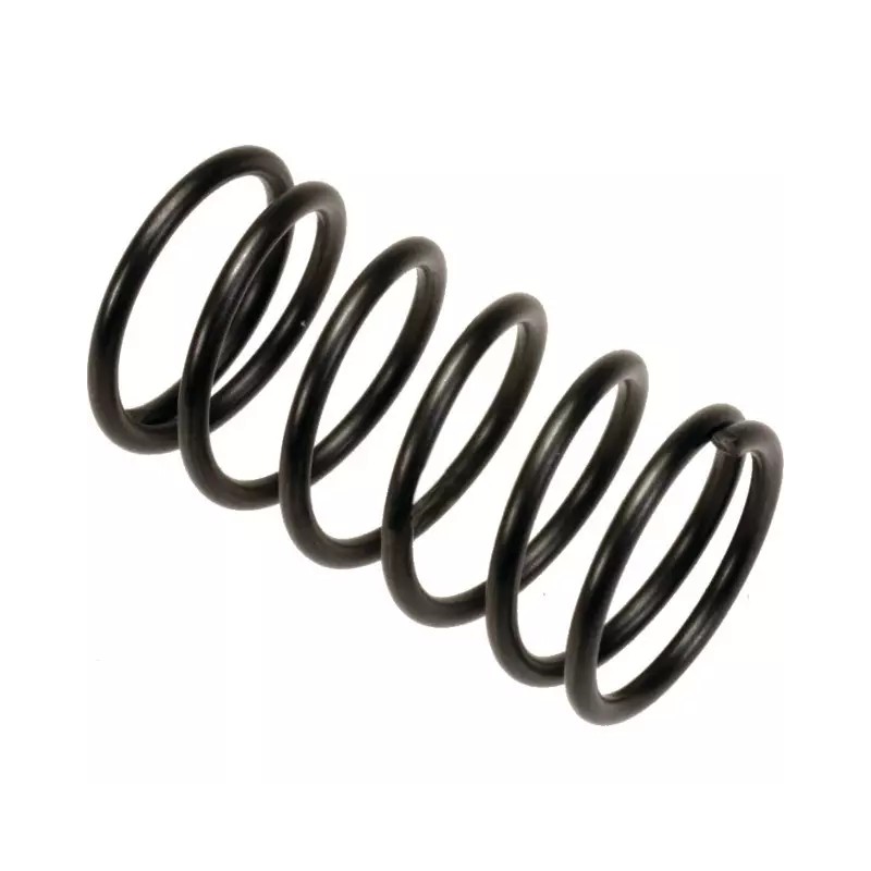 RESSORT CLAPET 11X9,5 LG16 MM COMET - ref. 30535276 | TP Agri