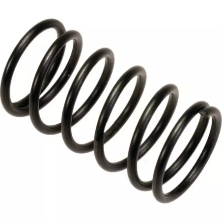 RESSORT CLAPET 11X9,5 LG16 MM COMET - ref. 30535276 | TP Agri