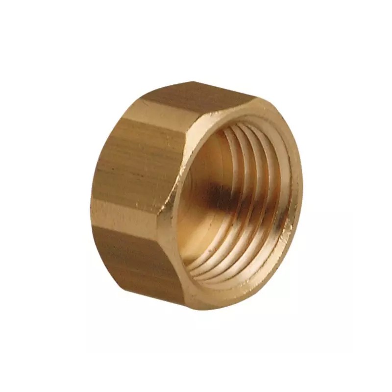 BOUCHON FEMELLE EN LAITON G 1/2" - ref. 251298 | TP Agri
