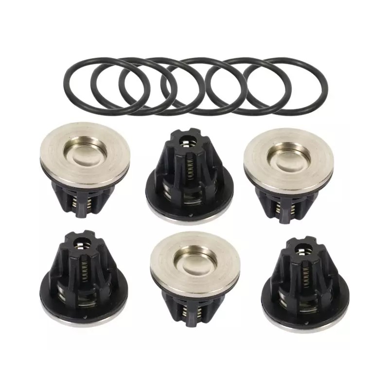 KIT CLAPETS 505 / 545 (KIT505) (KIT545) - ref. 231335 | TP Agri