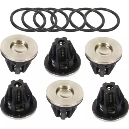 KIT CLAPETS 505 / 545 (KIT505) (KIT545) - ref. 231335 | TP Agri