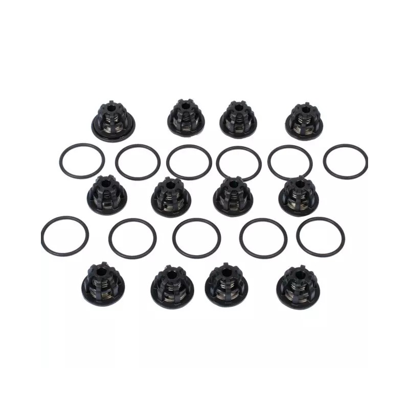 KIT CLAPETS ZETA 300 (KIT636) - ref. 261022 | TP Agri