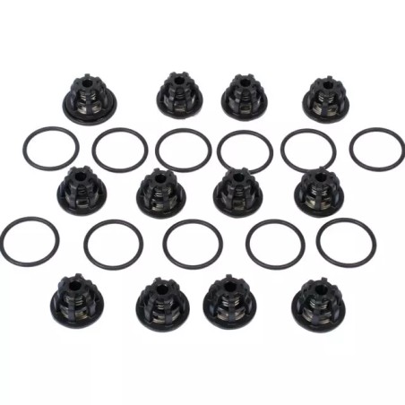 KIT CLAPETS ZETA 300 (KIT636) - ref. 261022 | TP Agri
