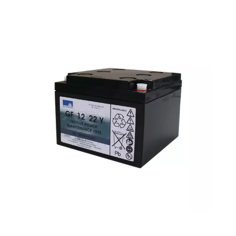 BATTERIE GEL GF12022YT 12V 24AH - ref. 31306001 | TP Agri