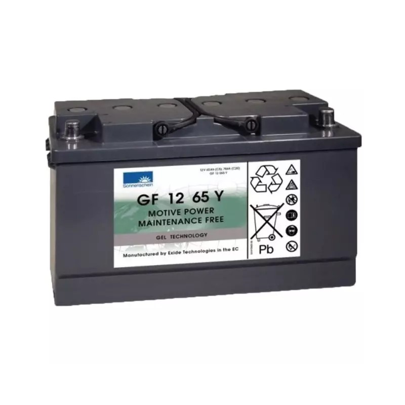 BATTERIE GEL GF12065Y 12V 78AH - ref. 31306013 | TP Agri