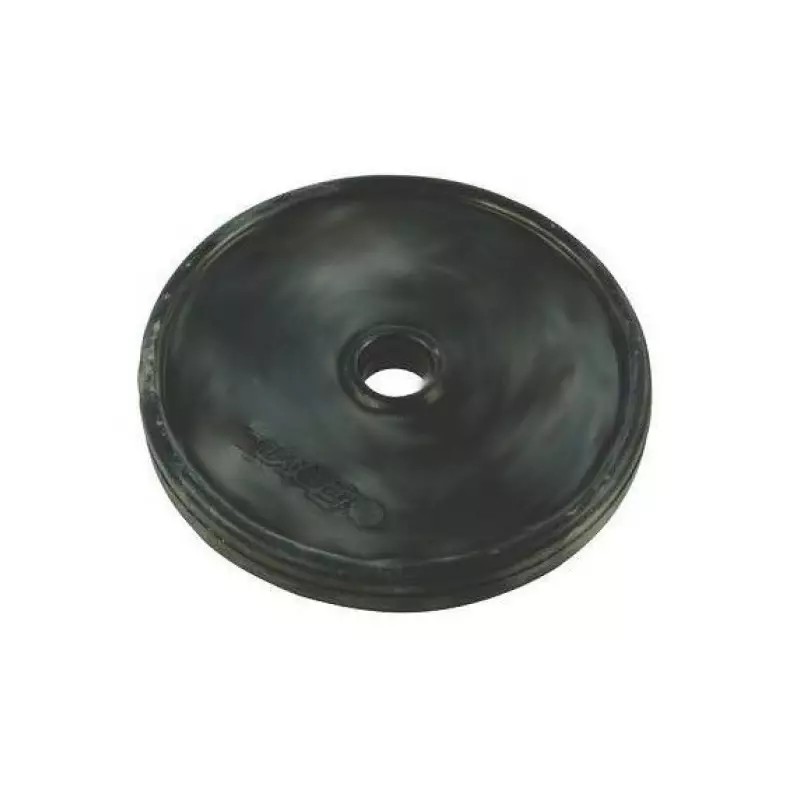 MEMBRANE VITON MC 18-MC8 - ref. 30535508 | TP Agri