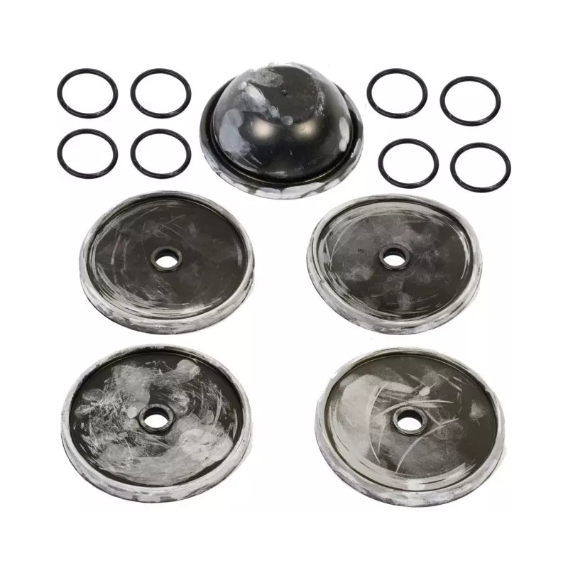 KIT MEMBRANES/JOINTS 508 (KIT508) - ref. 231343 | TP Agri