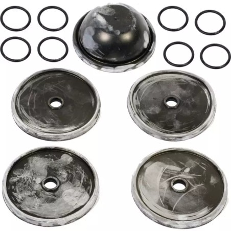 KIT MEMBRANES/JOINTS 508 (KIT508) - ref. 231343 | TP Agri
