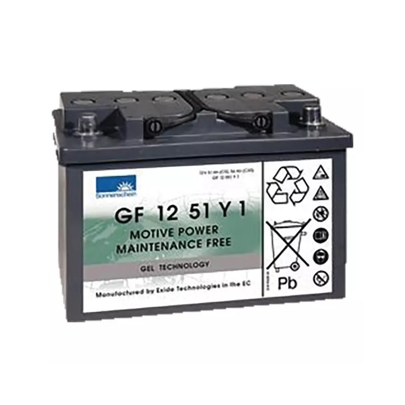 BATTERIE GEL GF12051Y1 12V 56AH - ref. 31306008 | TP Agri