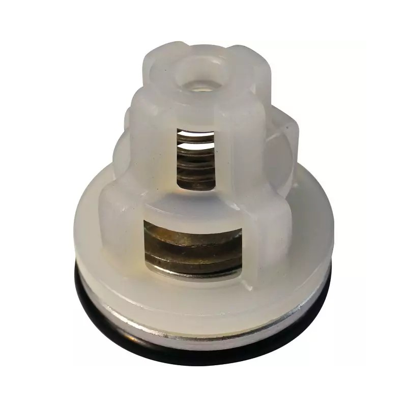 CLAPET D'ASPIRATION ET REFOULEMENT + JOINT C - ref. 30535255 | TP Agri