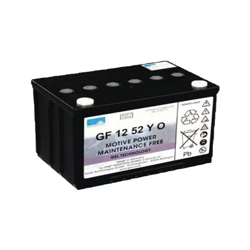 BATTERIE GEL GF12052YO 12V 60AH - ref. 31306011 | TP Agri