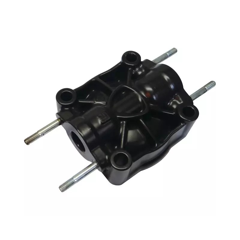 CULASSE AR125/AR145 ANNOVI - ref. 30571193 | TP Agri