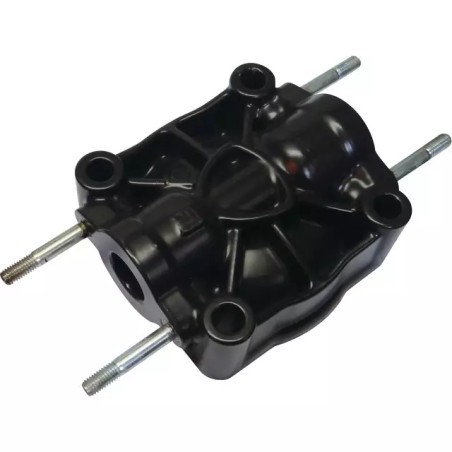 CULASSE AR125/AR145 ANNOVI - ref. 30571193 | TP Agri